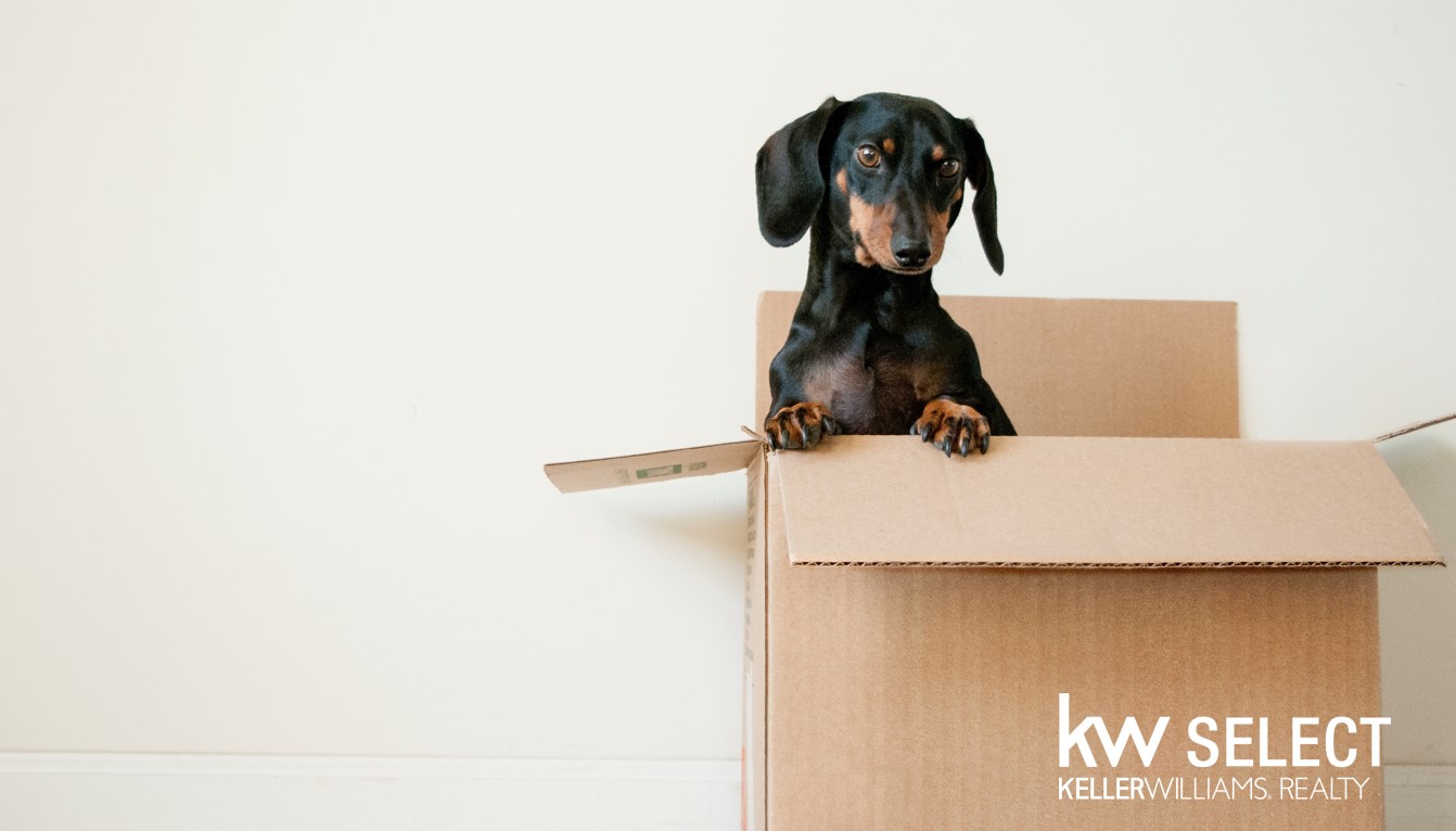 Top tips when moving house and more