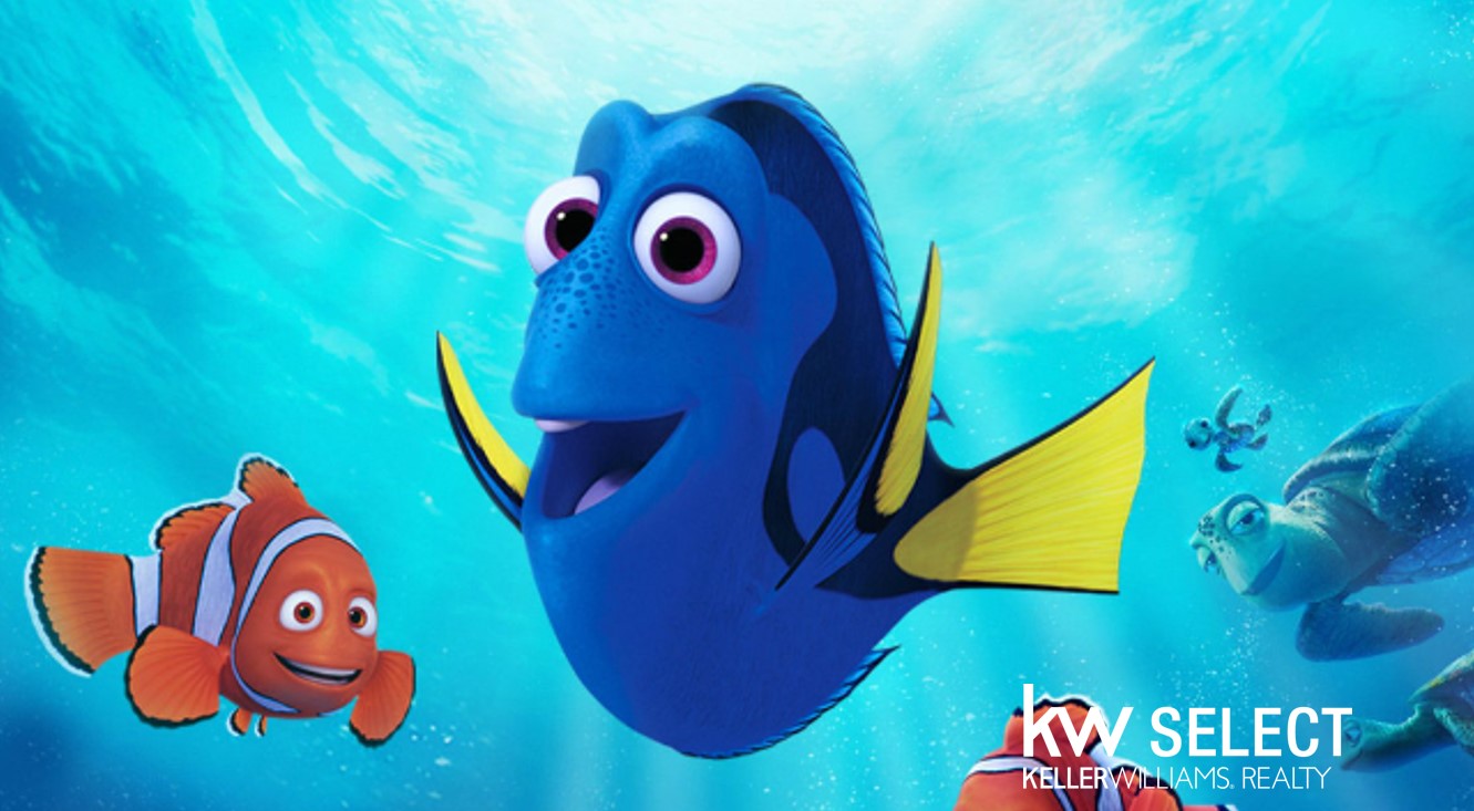 Want to crush social media? Be a Dory